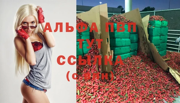 стафф Богородск