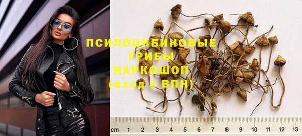 стафф Богородск