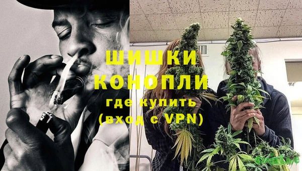 стафф Богородск